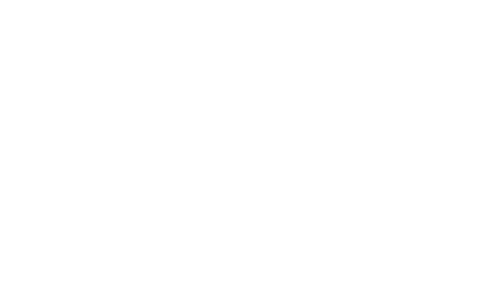 step 02