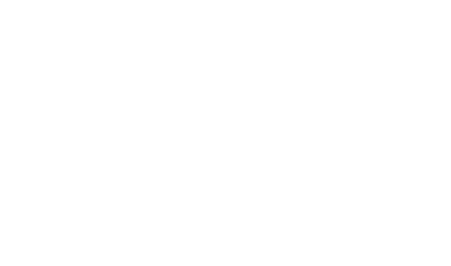step 03
